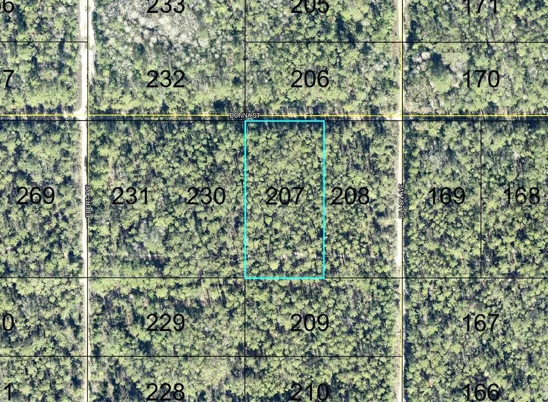Property Photo:  207 Donna Street  FL 32145 