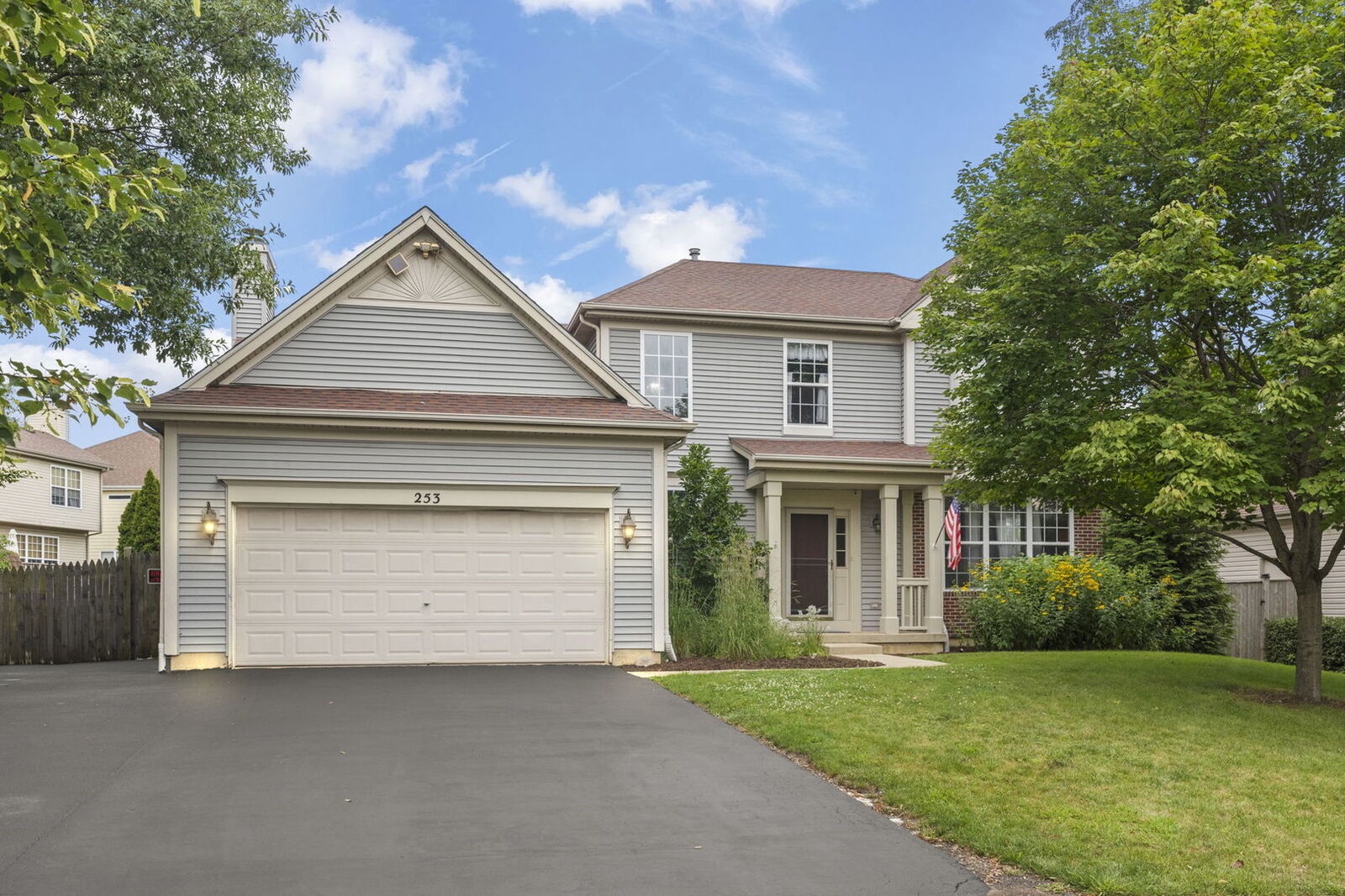 Property Photo: 253 Carlton Mews Court IL 60554