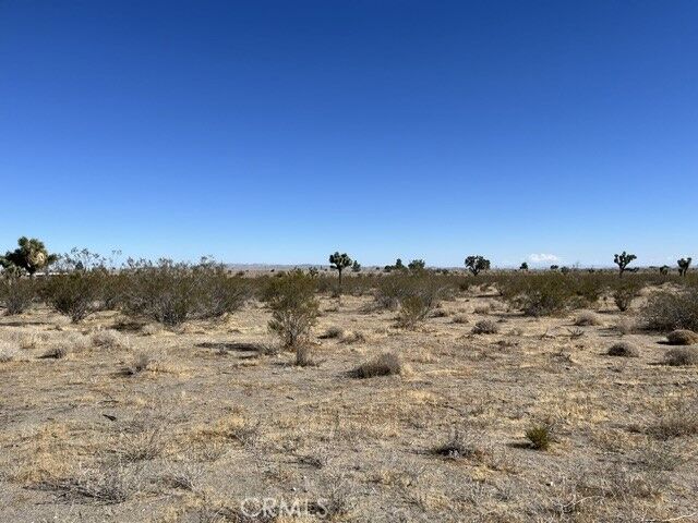 Property Photo: 0 Luna-309806115 CA 92371