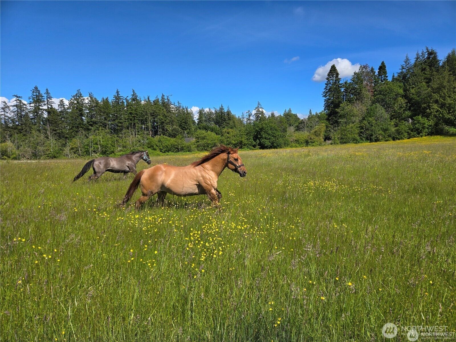 Property Photo:  1050  Promise Lane  WA 98282 