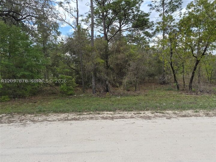 Property Photo:  00 NE NE 4th St  FL 32696 