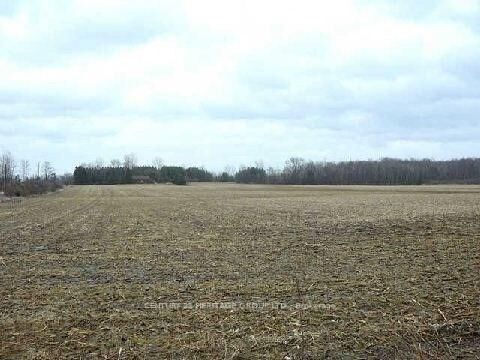 Photo de la propriété:  3329 11 Line  ON L3Z 3N5 