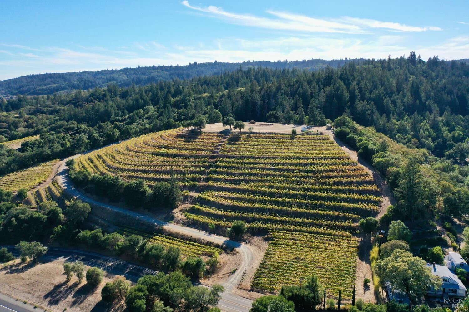 Property Photo:  19853 Geyserville Avenue  CA 95441 