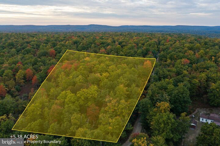 Property Photo:  0 Spring Lick Trail  PA 16822 