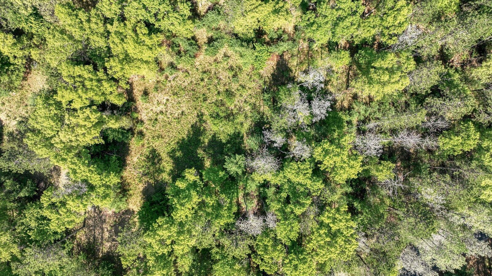 Property Photo:  Tbd Armstrong Lane  WI 54612 