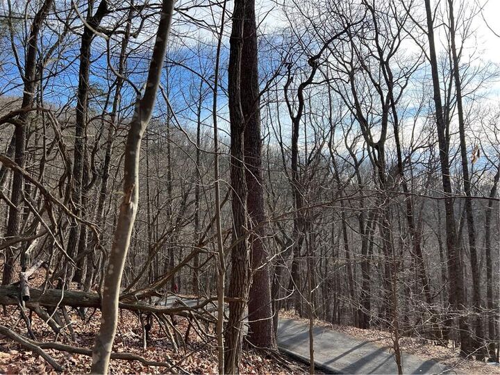 Property Photo: 4528 Sassafras Mountain Trail GA 30143