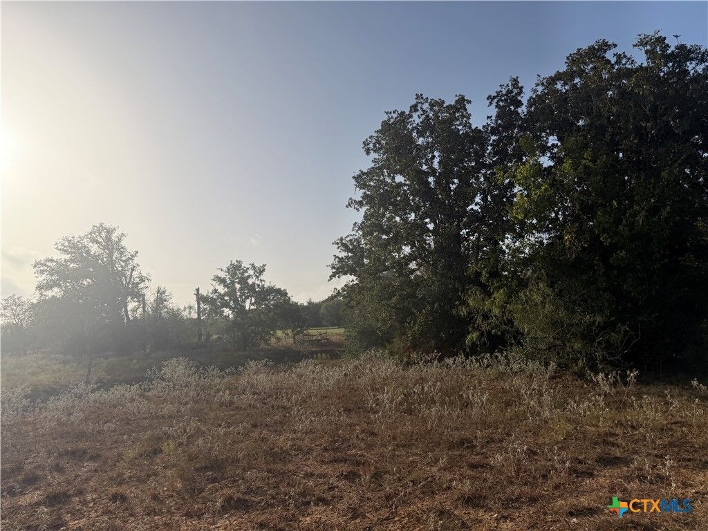 Property Photo:  3841 County Road 427  TX 78160 