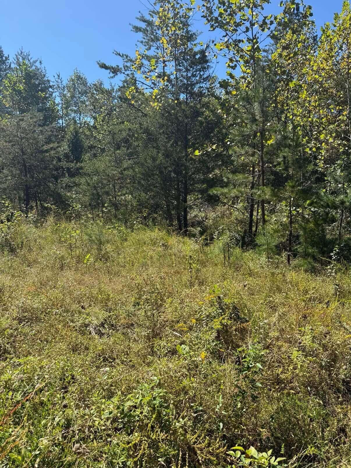 Property Photo: 3825 Highway 191 KY 41472