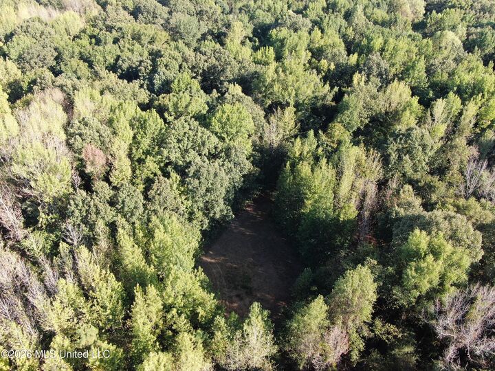 Property Photo:  17 Star Landing Road  MS 38651 