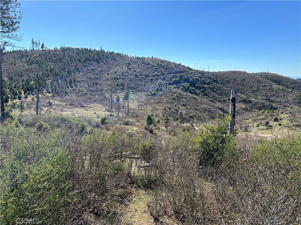 Property Photo:  1234 Hog Ranch Rd  CA 95965 
