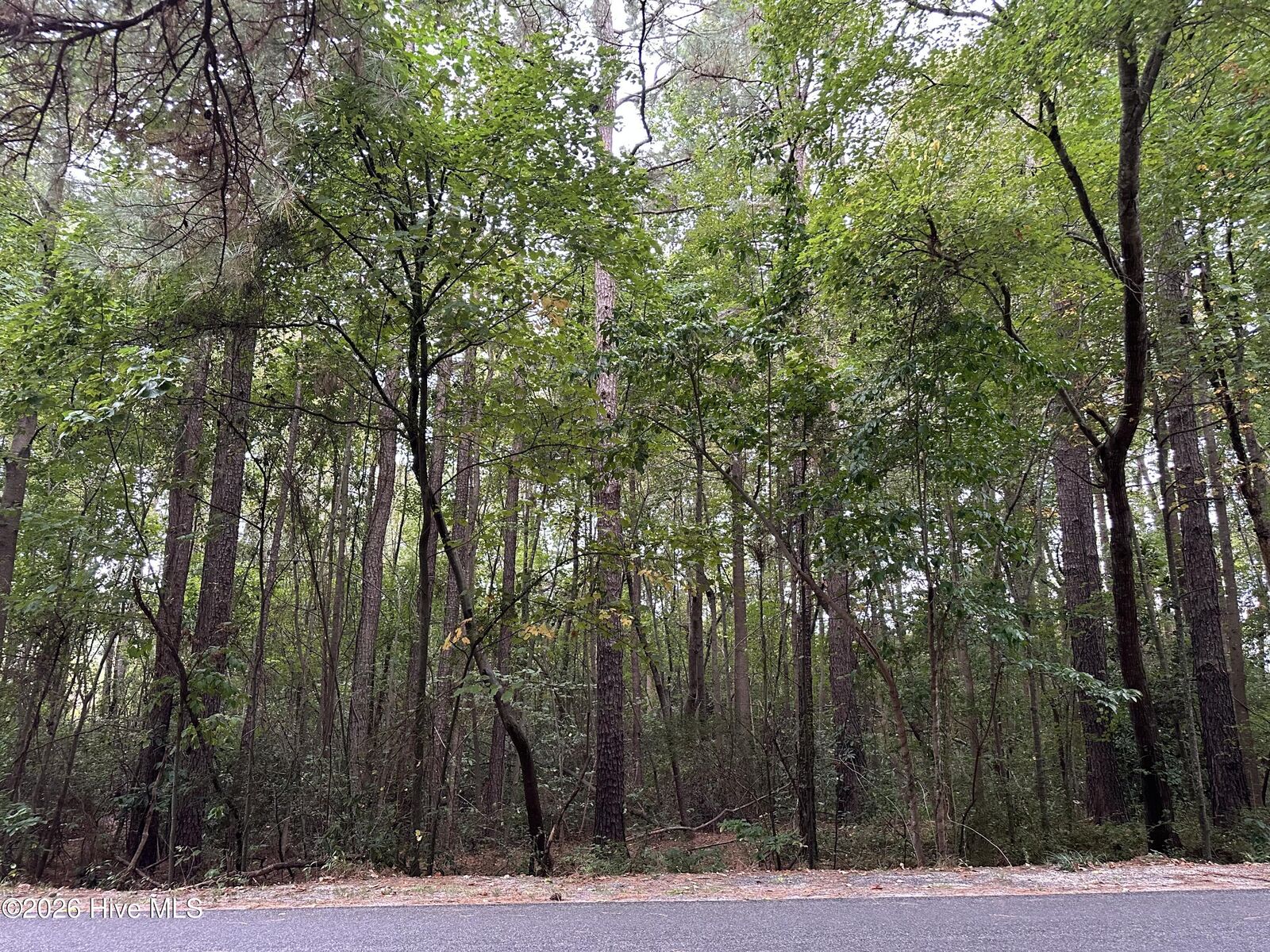 Property Photo:  134 Bellhaven Drive  NC 28327 
