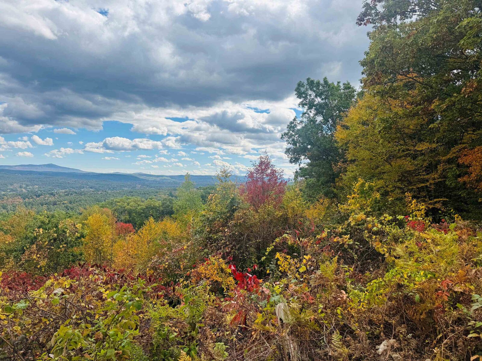 Property Photo:  0 Old Walpole/Valley View Road  NH 03431 