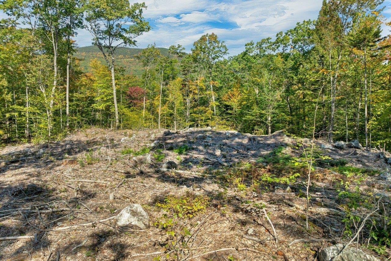 Property Photo: Lot 22 Mt Israel Road NH 03227