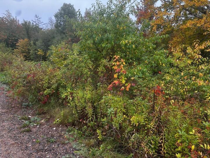Property Photo:  Lot Huntington Point Road  NS B0P 1J0 
