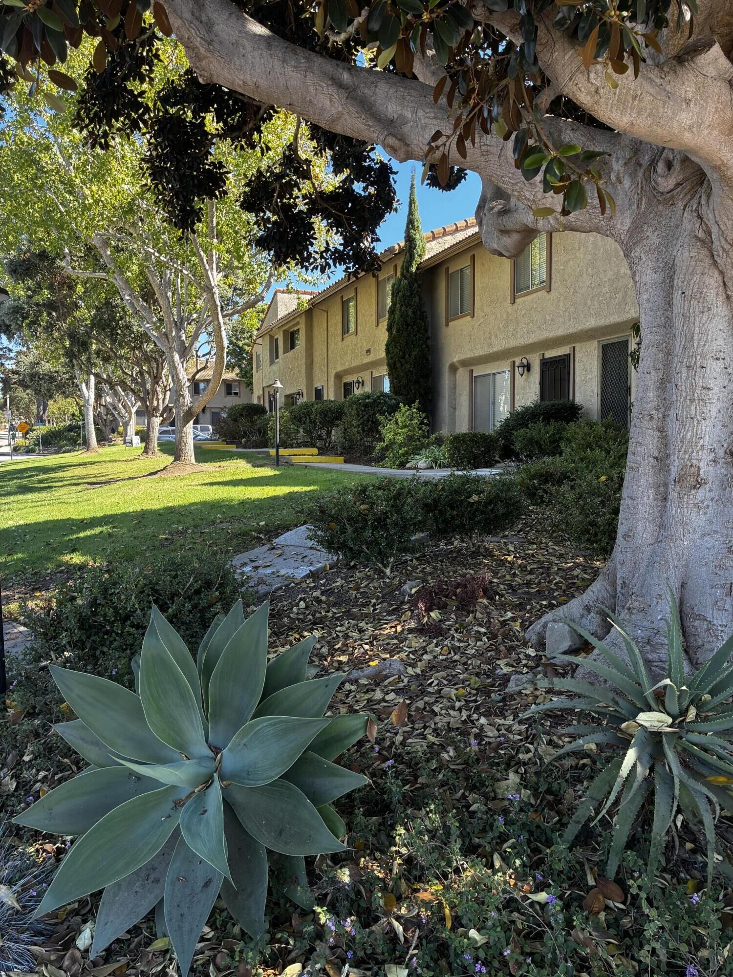 Property Photo:  6099 Jacaranda Way Apt B  CA 93013 