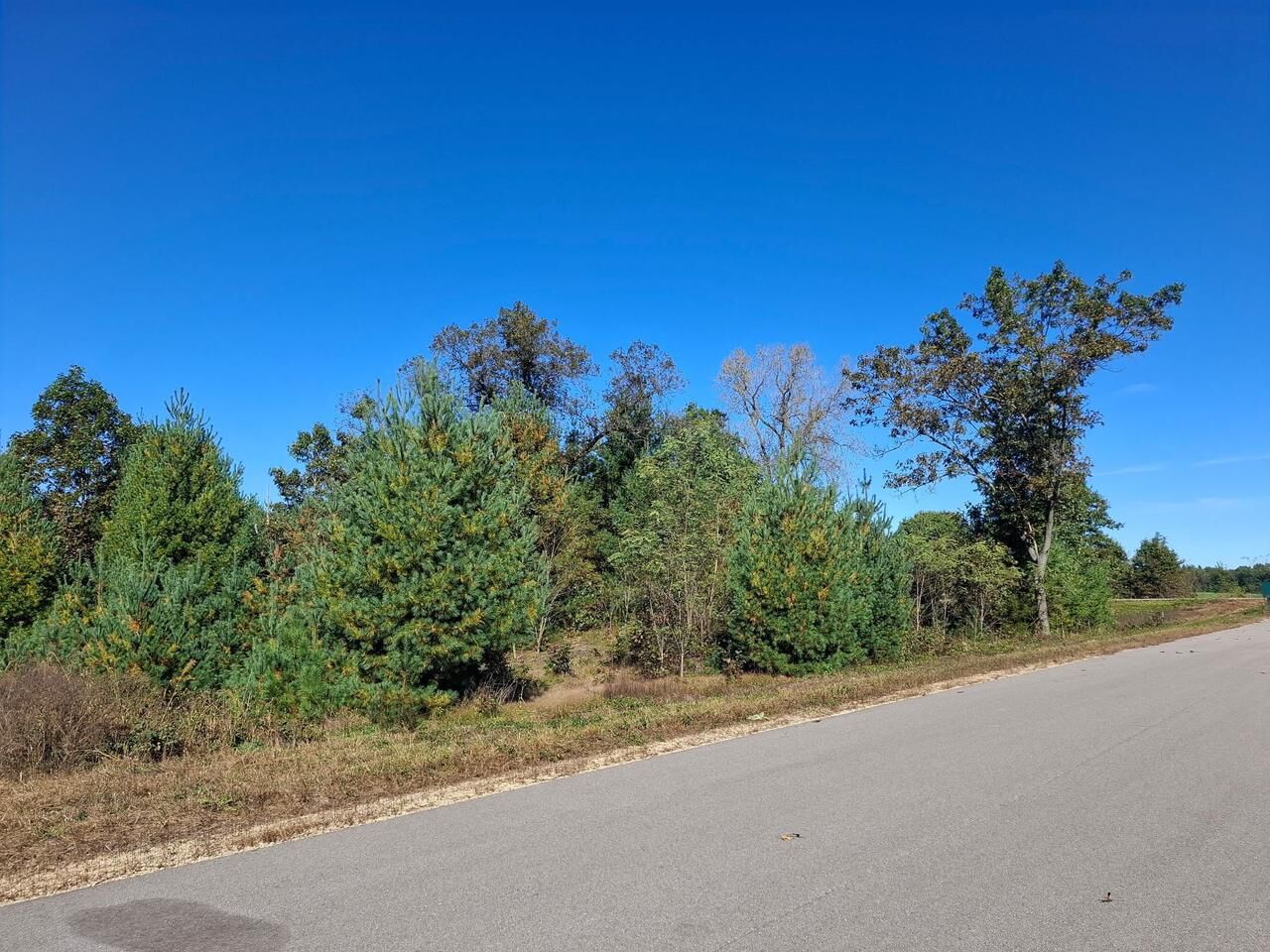 Property Photo:  L.20 & 21 Timber Trail  WI 53588 