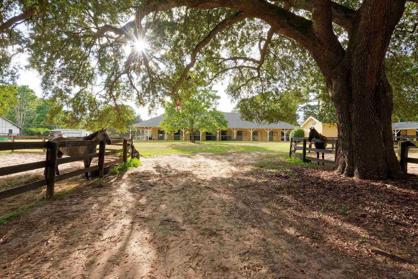 Property Photo:  844, 846 SE Two Notch Road  SC 29801 