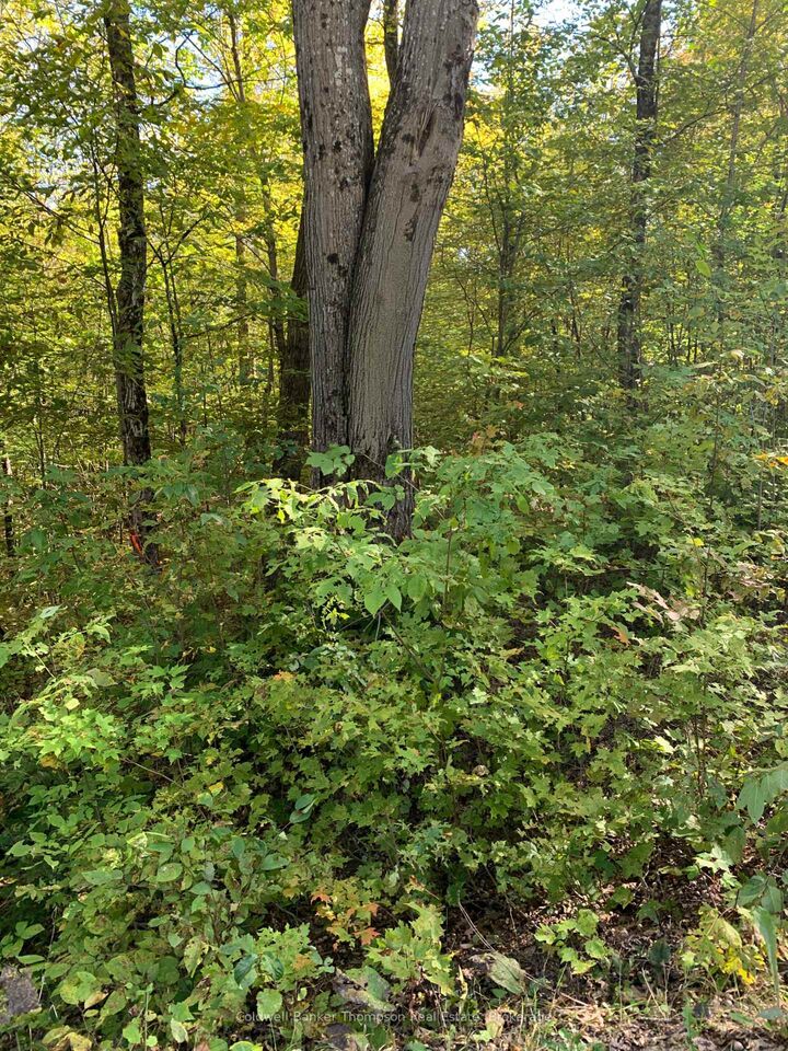 Property Photo:  0 Ahmic Lake Road  ON P0A 1P0 