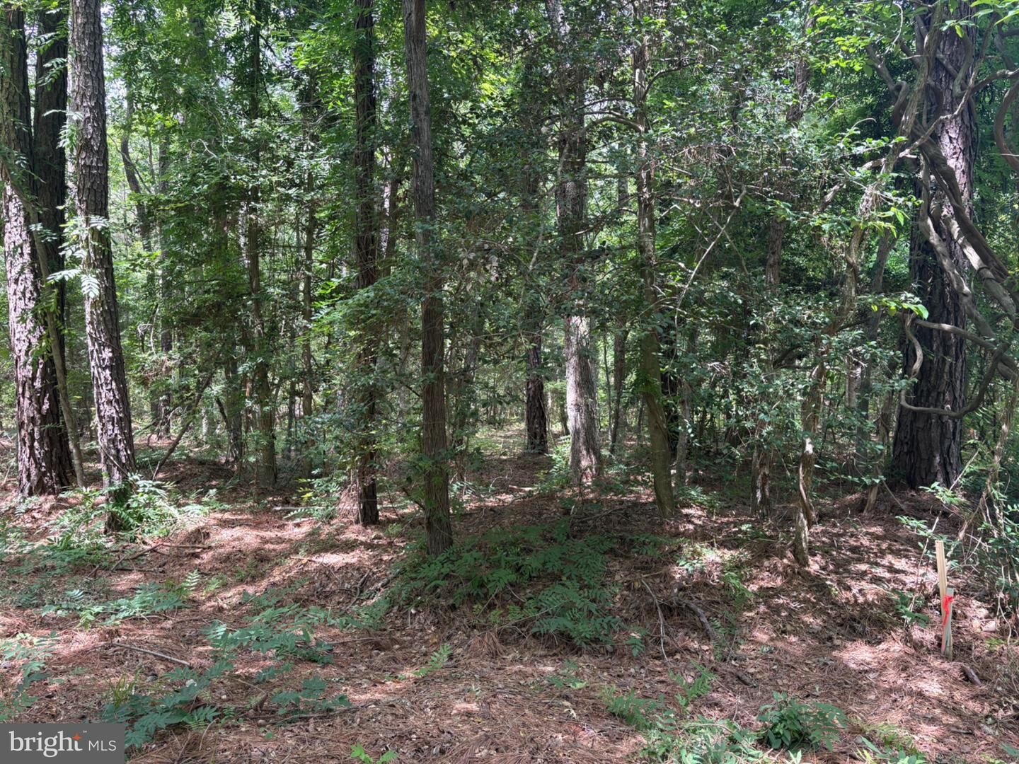 Property Photo: Lot 27 & 28 Stotsylvania Drive VA 22469