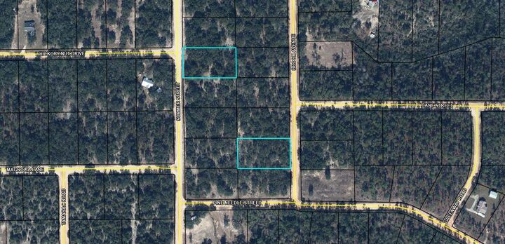 Property Photo: Lot 15 Broom Avenue FL 32448