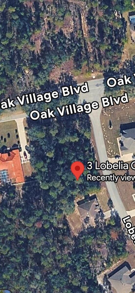 Property Photo:  3 Lobelia Court  FL 34446 