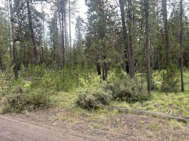 Property Photo: 55975 Savage Dr OR 97707