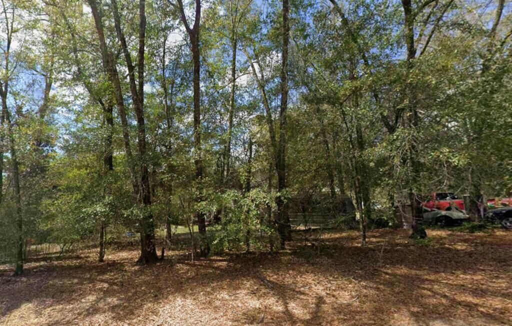 Property Photo:  250 Pine Street  AL 36343 