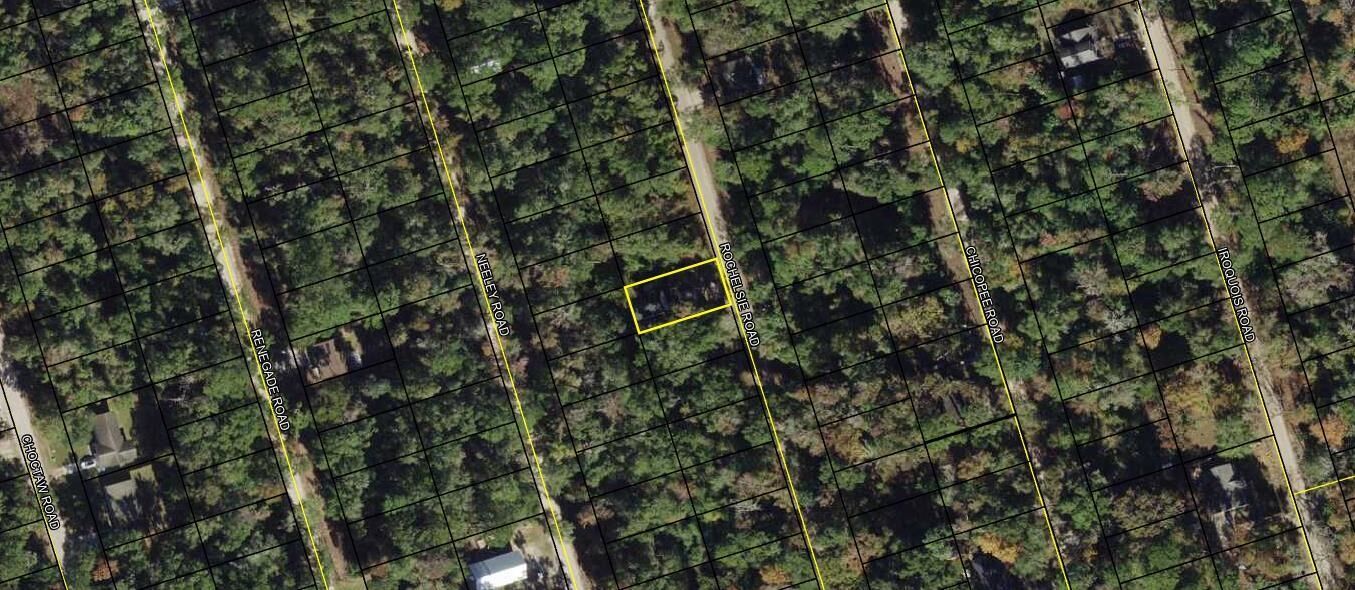Property Photo:  Lot 59 Rochelsie Road  FL 32327 