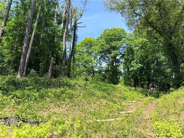 Property Photo: 0 Old Hwy 5 S GA 30540