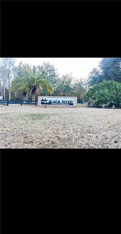 Property Photo:  1625 Janells River Drive Lot # 9  GA 31537 