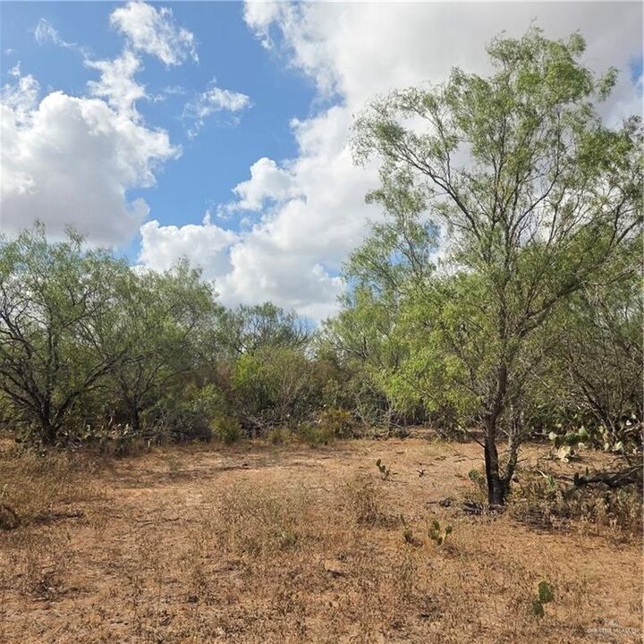 Property Photo:  0000 Cr 217  TX 78349 