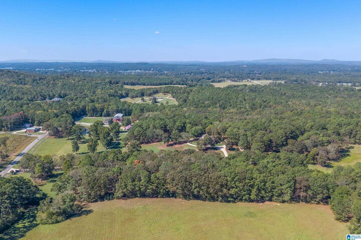 Property Photo:  000 Mays Bend Road 0  AL 35128 