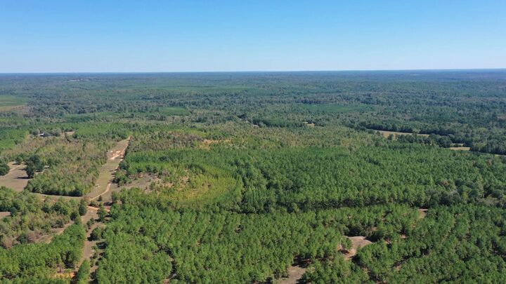 Property Photo:  00 Easement Liberty Rd  TX 75657 