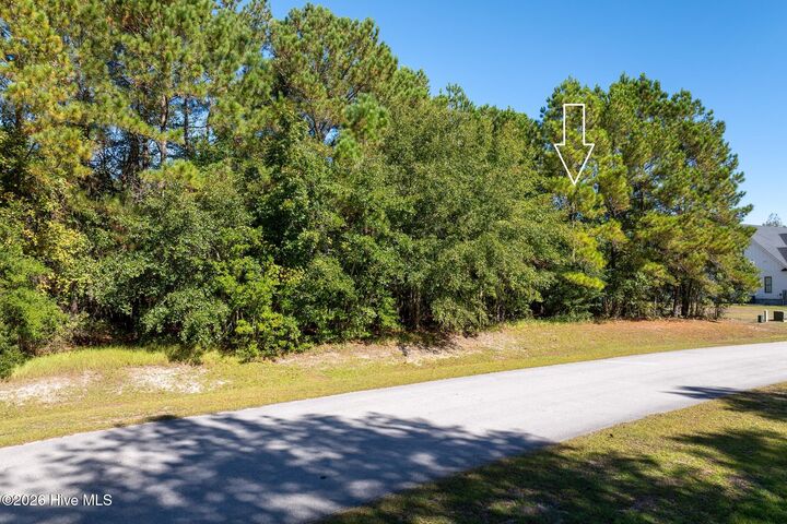 Property Photo: 145 31 Royal Palms Way NC 28445