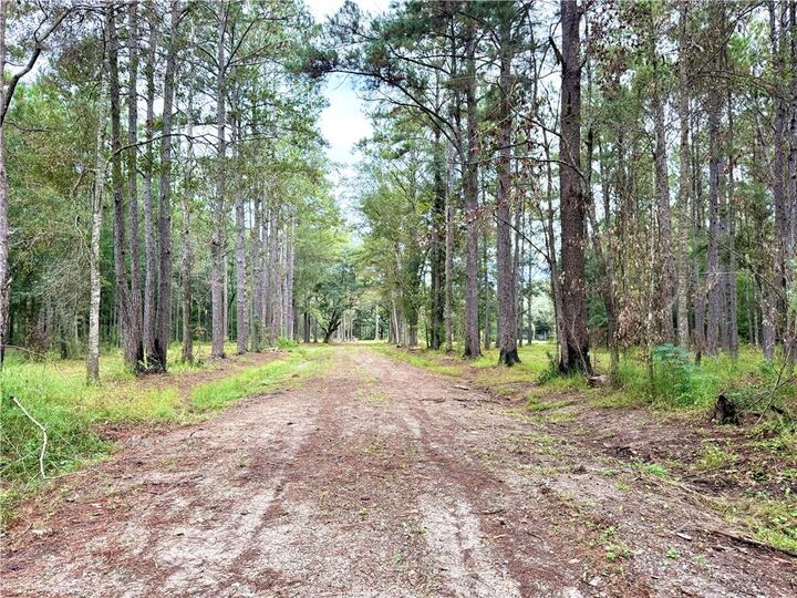 Property Photo:  37285 Dummyline Road  LA 70452 