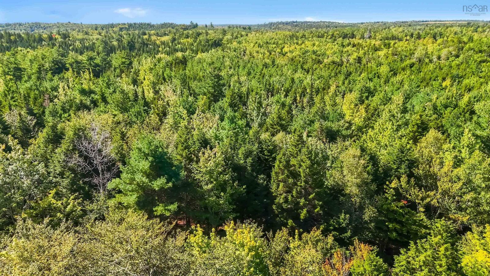 Property Photo:  103&104 Arenburg Road  NS B4V 8X9 