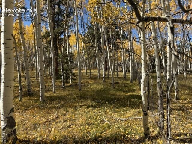 Property Photo:  417 Aspen Way Drive  CO 80816 