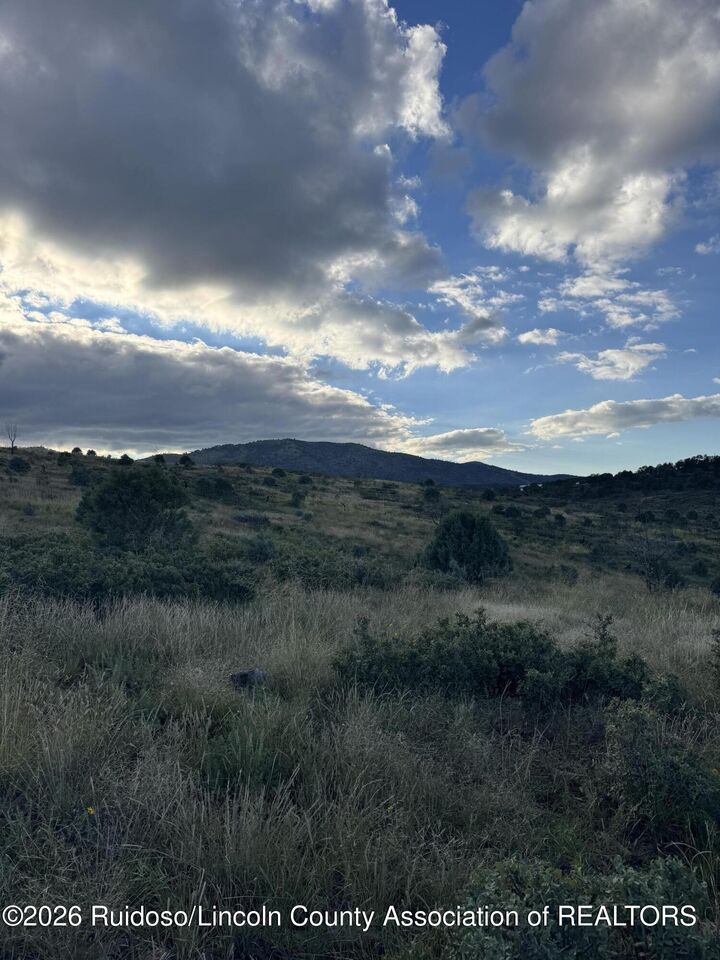 Property Photo:  159 Wolf Creek Road  NM 88341 