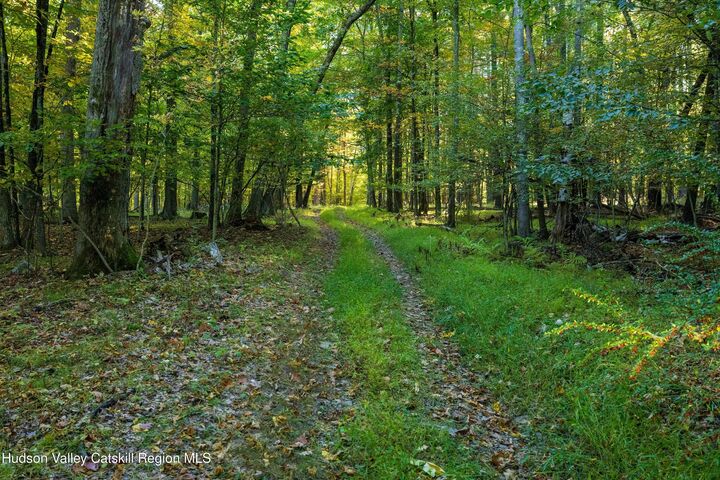 Property Photo: 8780 New York 32 NY 12431