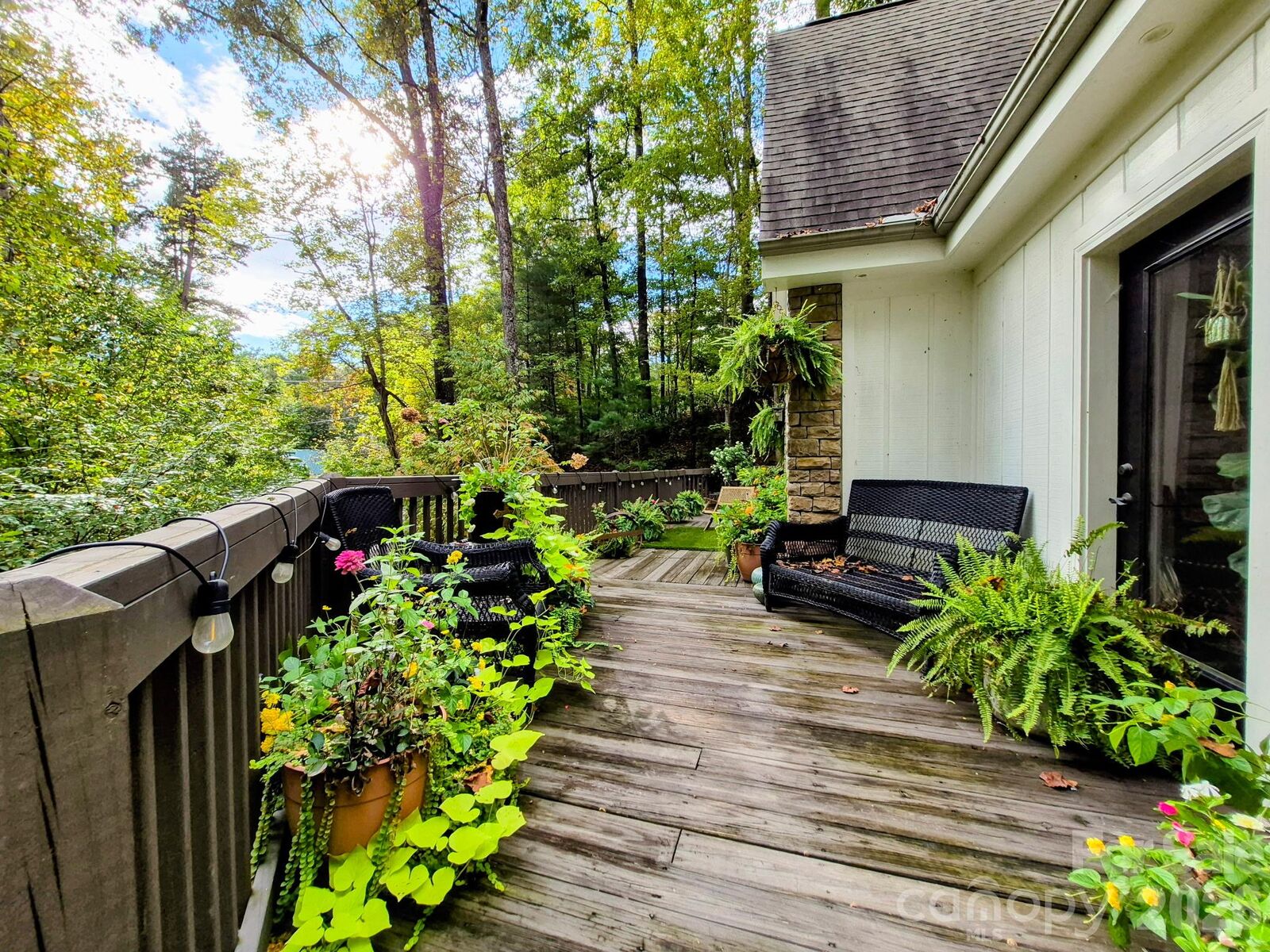 Property Photo: 237 Mallard Road NC 28746