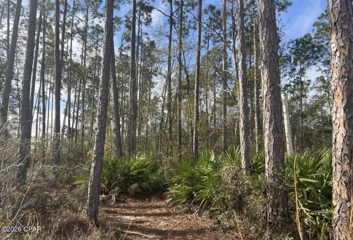 Property Photo:  215 White Oaks Boulevard  FL 32409 