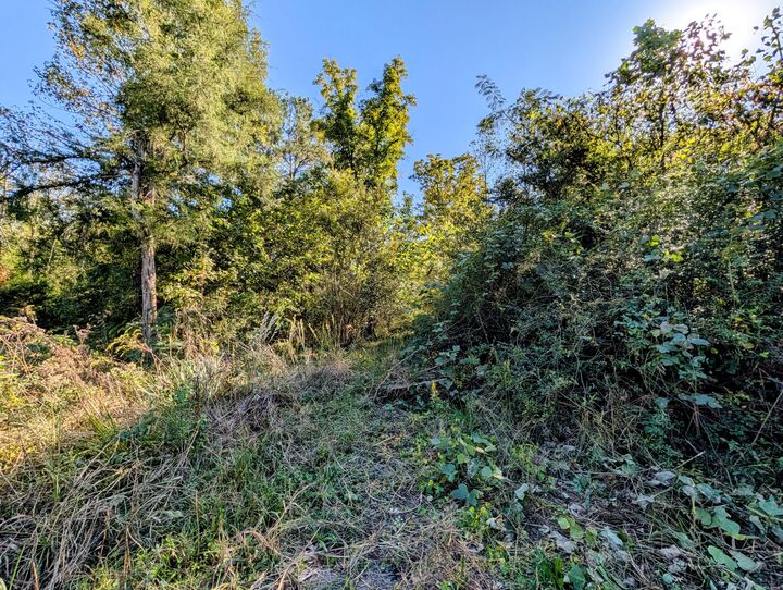 Property Photo:  378 Ladd Springs Road SE  TN 37323 