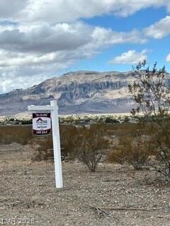Property Photo:  1510 Saguaro Lane 3  NV 89060 