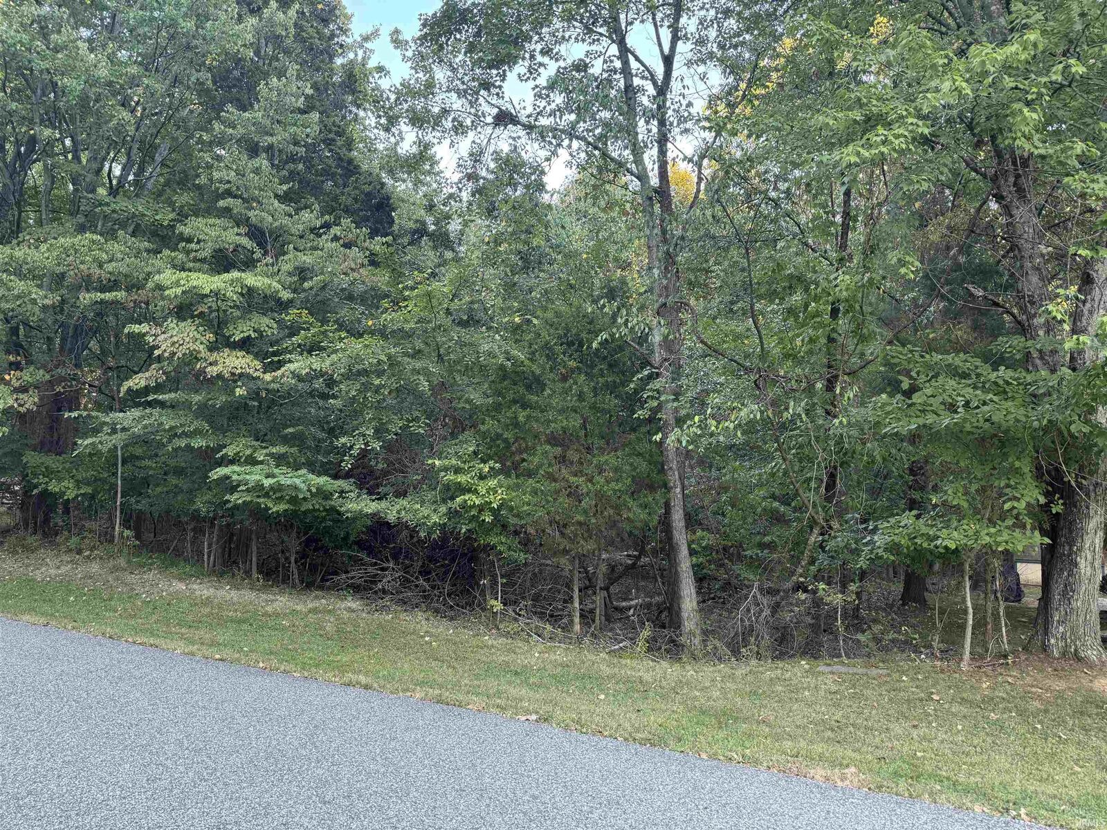 Property Photo:  December 25th Drive  IN 47579 