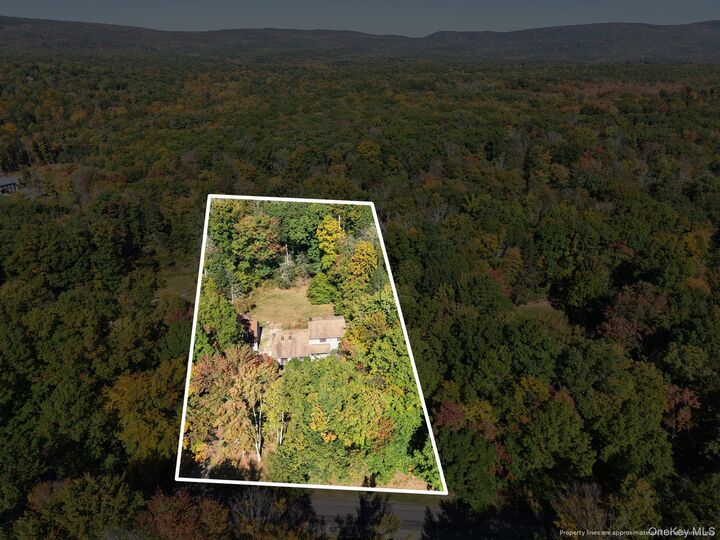 Property Photo: 155 Birchwood Drive NY 12566