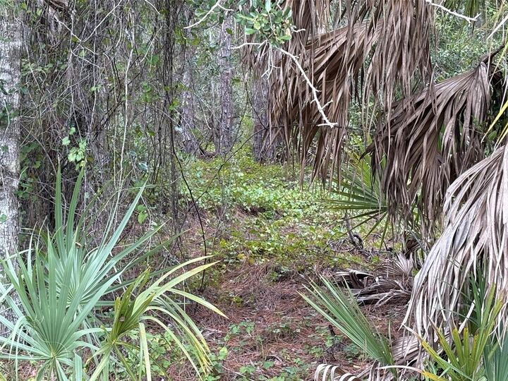 Property Photo: 14060 Dunlap Avenue FL 33953