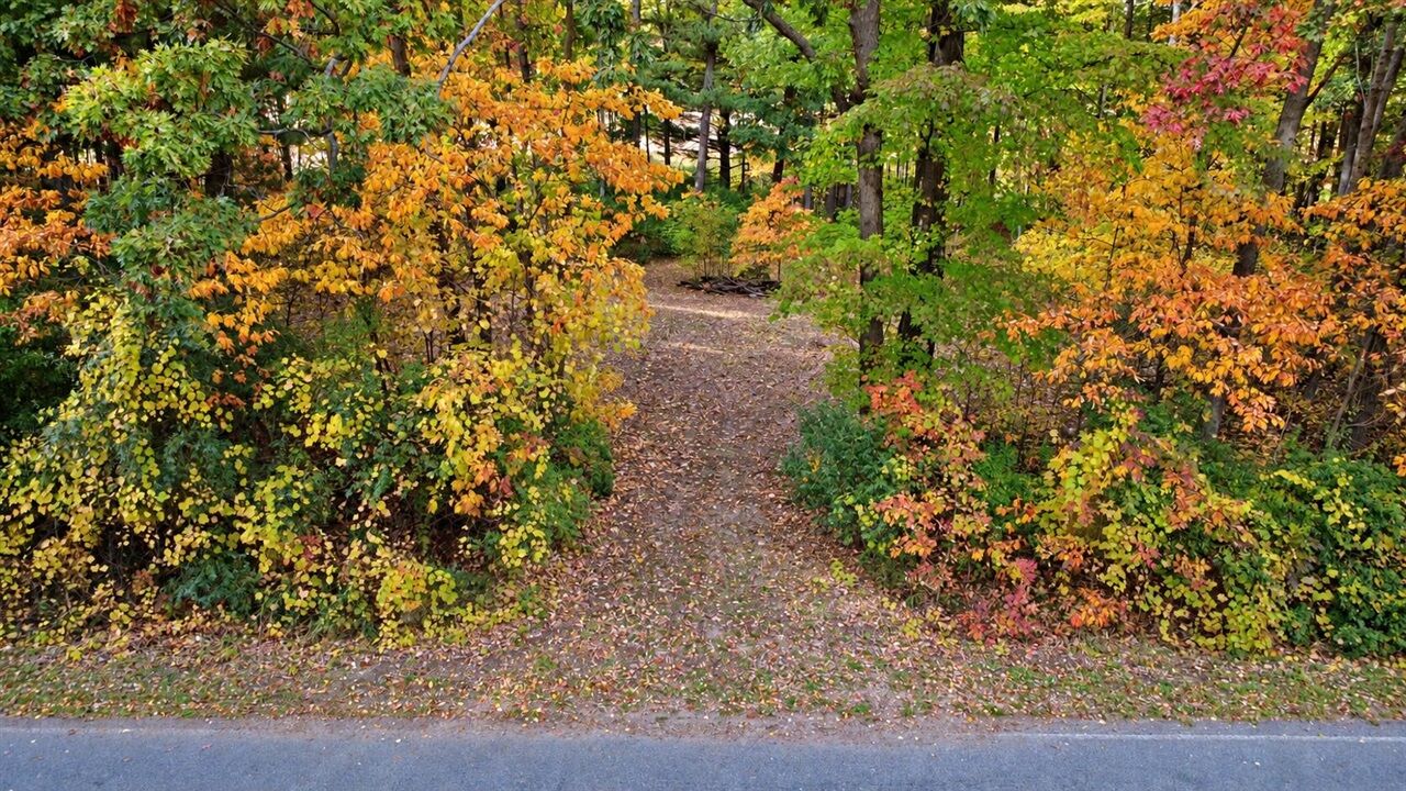 Property Photo: 7861 Vestaburg Road MI 48891