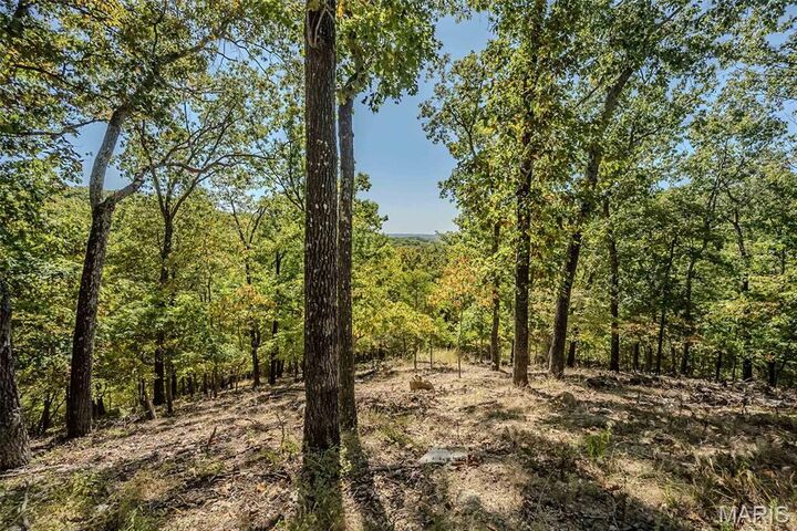 Property Photo: 1302 Bear Canyon Road MO 63021