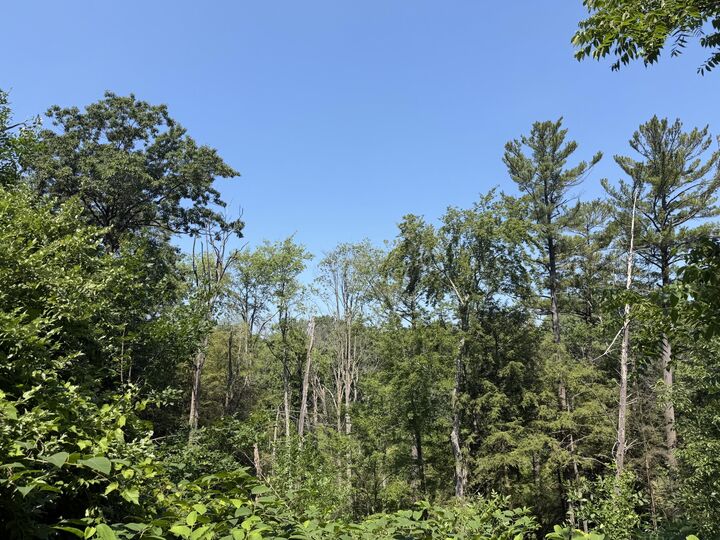Property Photo:  0 62nd St. Road  MI 49453 