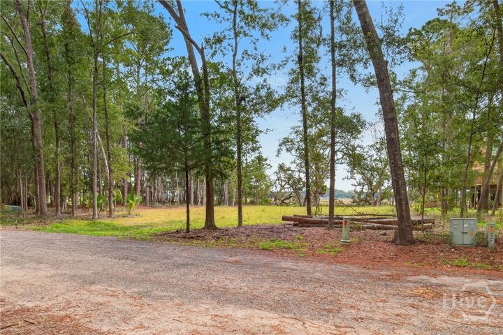 Property Photo:  3010 NE Dallas Bluff Road  GA 31331 